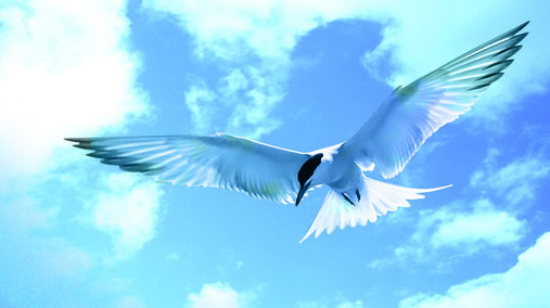 洛陽(yáng)興罡石化設(shè)備有限公司